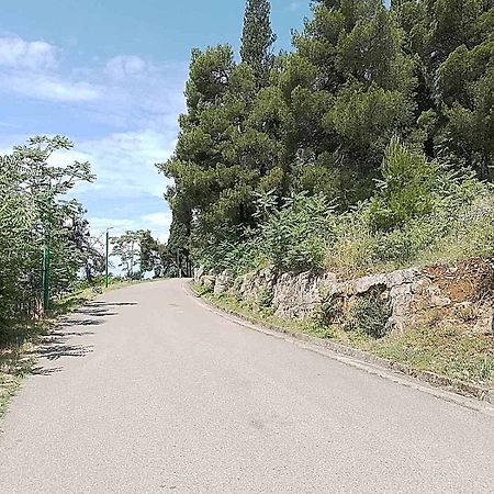 Aga Apartman Podgorica Buitenkant foto