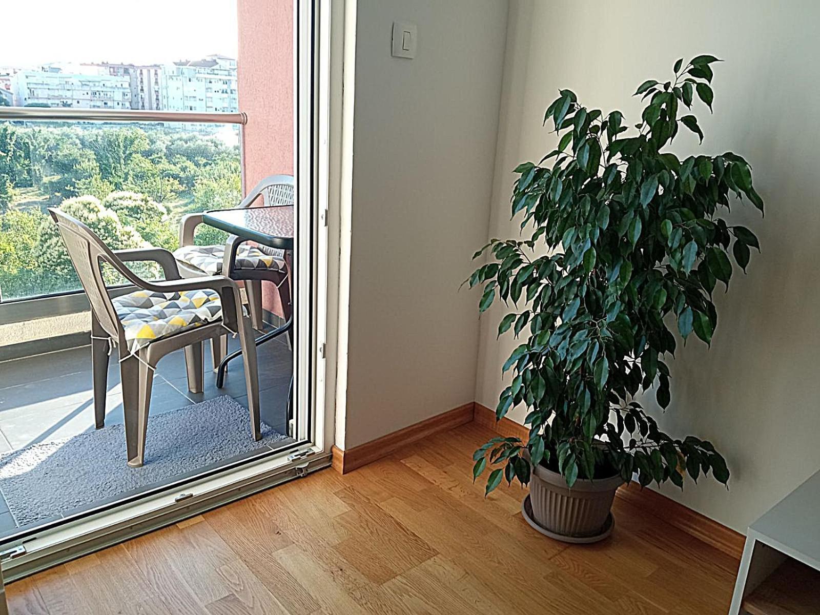 Aga Apartman Podgorica Buitenkant foto